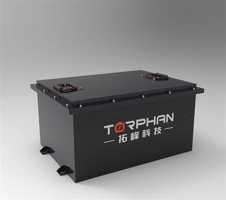 48V Cargador de batería de litio para carrito de golf